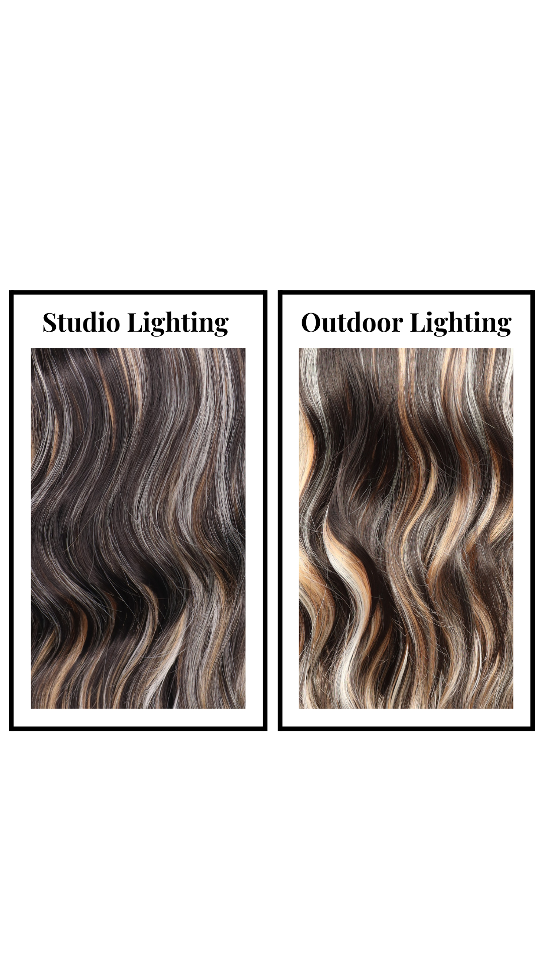 Angela (Lone Wolf) Petite