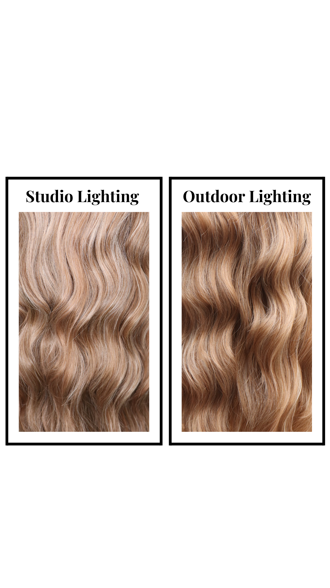 *Arden (Rosy Blonde Roast)