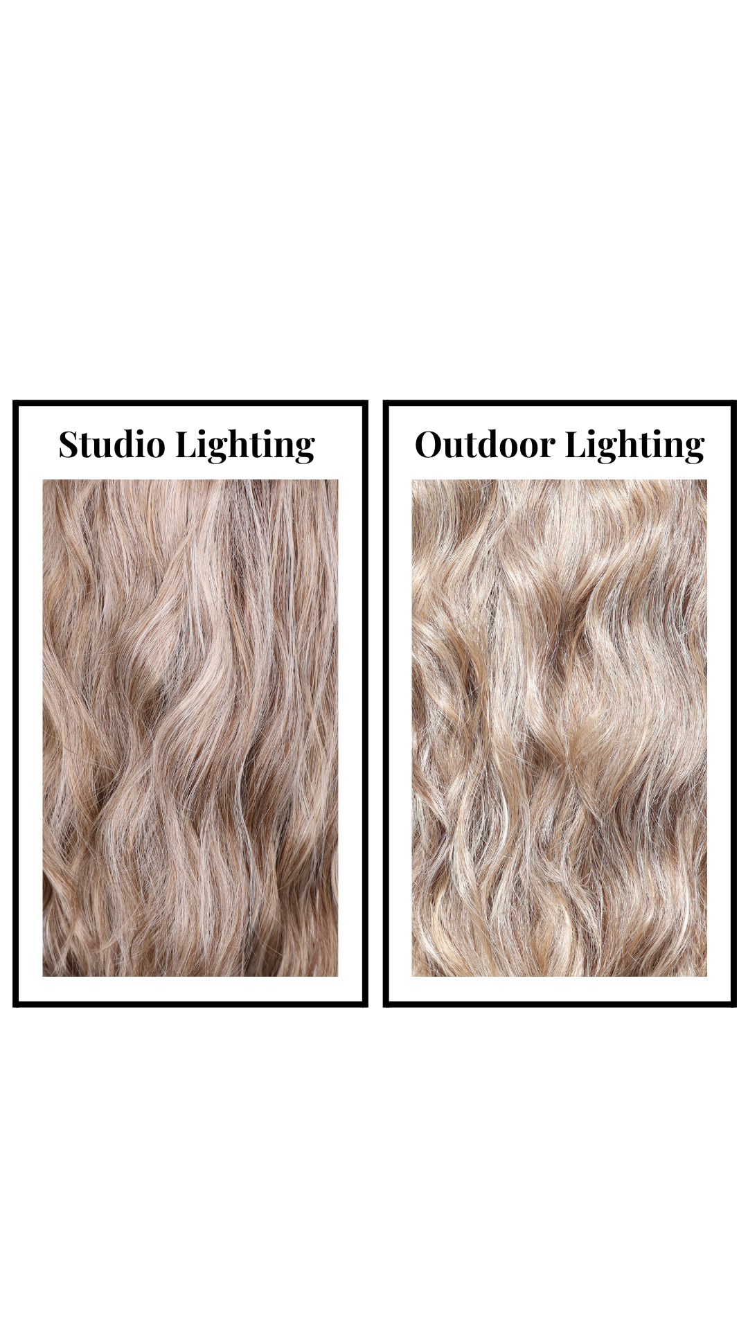 Arden (Toasted Biscotti) Petite