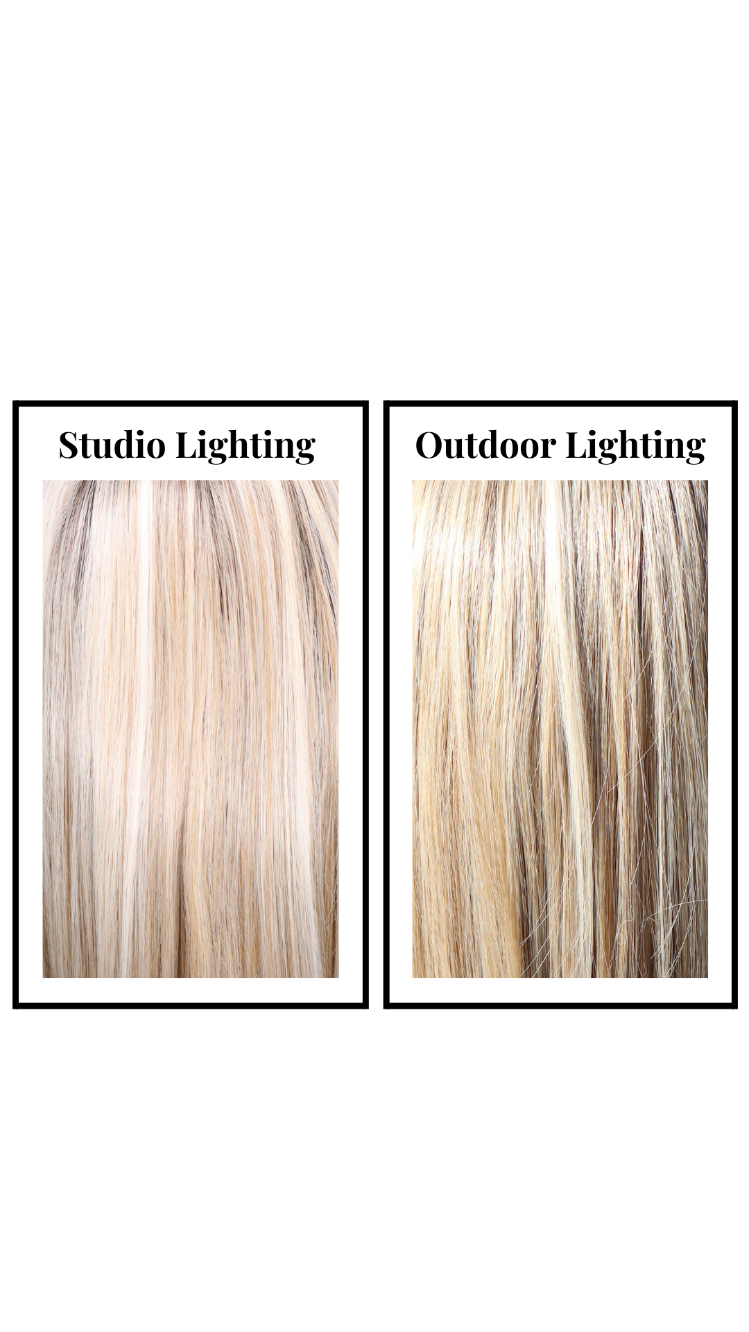 Bardot (Sharpay Coloring)