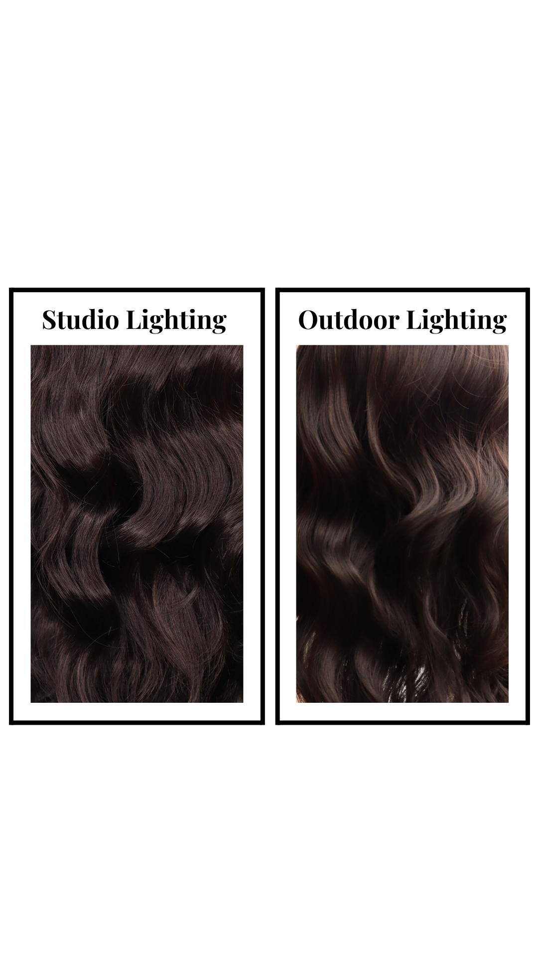 *Barrett (Midnight Mocha)