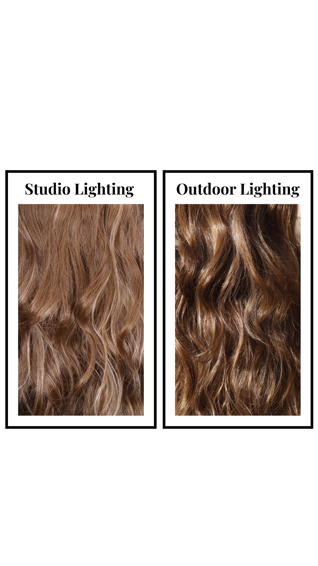 Blondechell (Dark Dimensional Apricot)