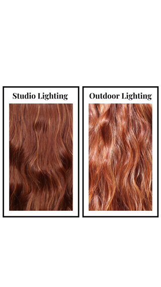 Blondechell (Golden Copper)