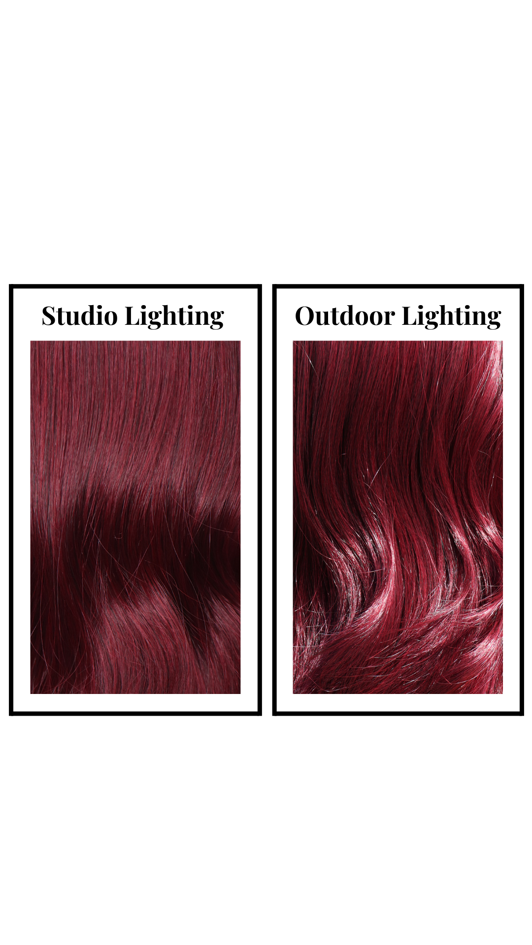 Brett (Black Cherry)