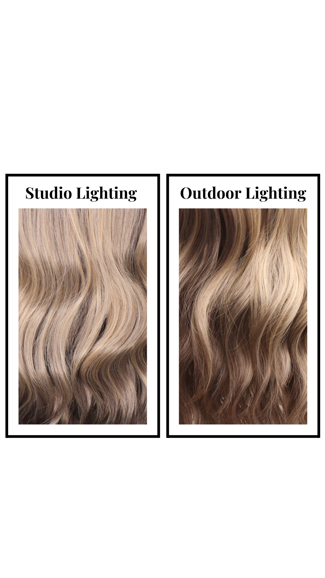 *Brit (Lavender Latte)