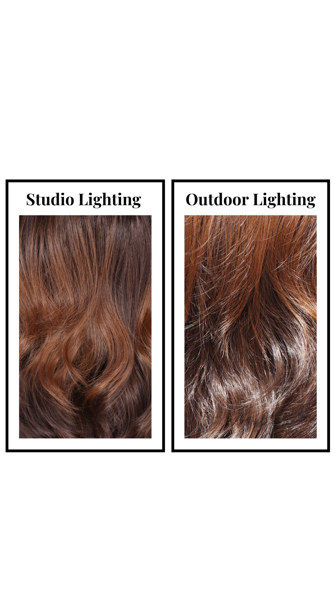 Butterfly (Caramel Chocolate)