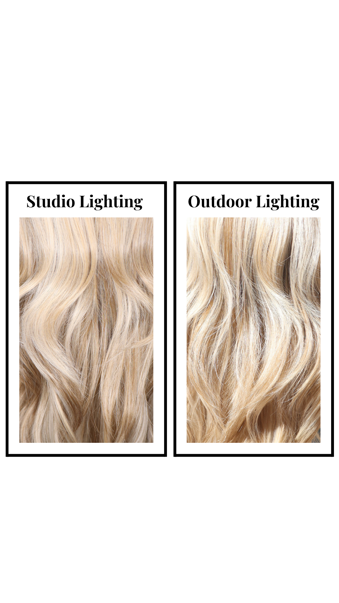 Butterfly (Sharpay Coloring)