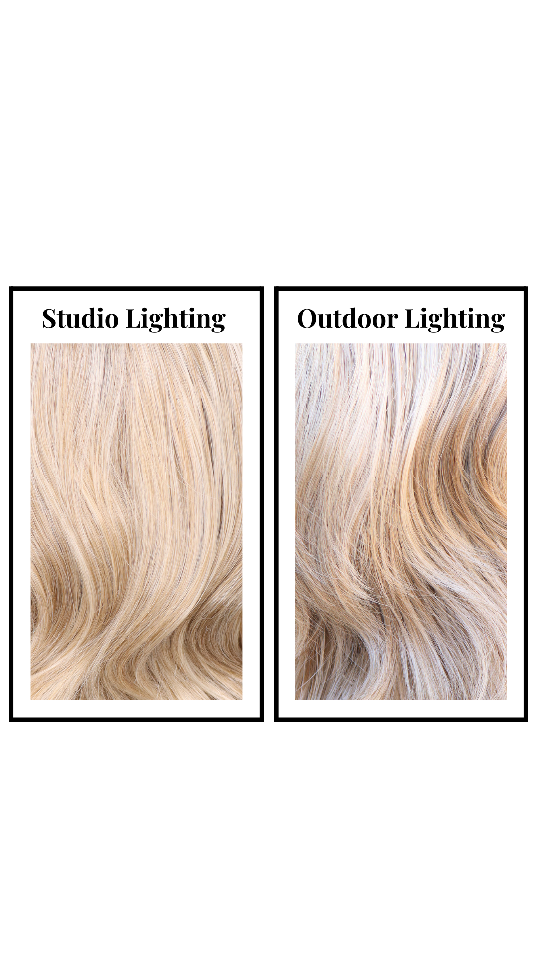 Butterfly Short (Sharpay Coloring) LARGE