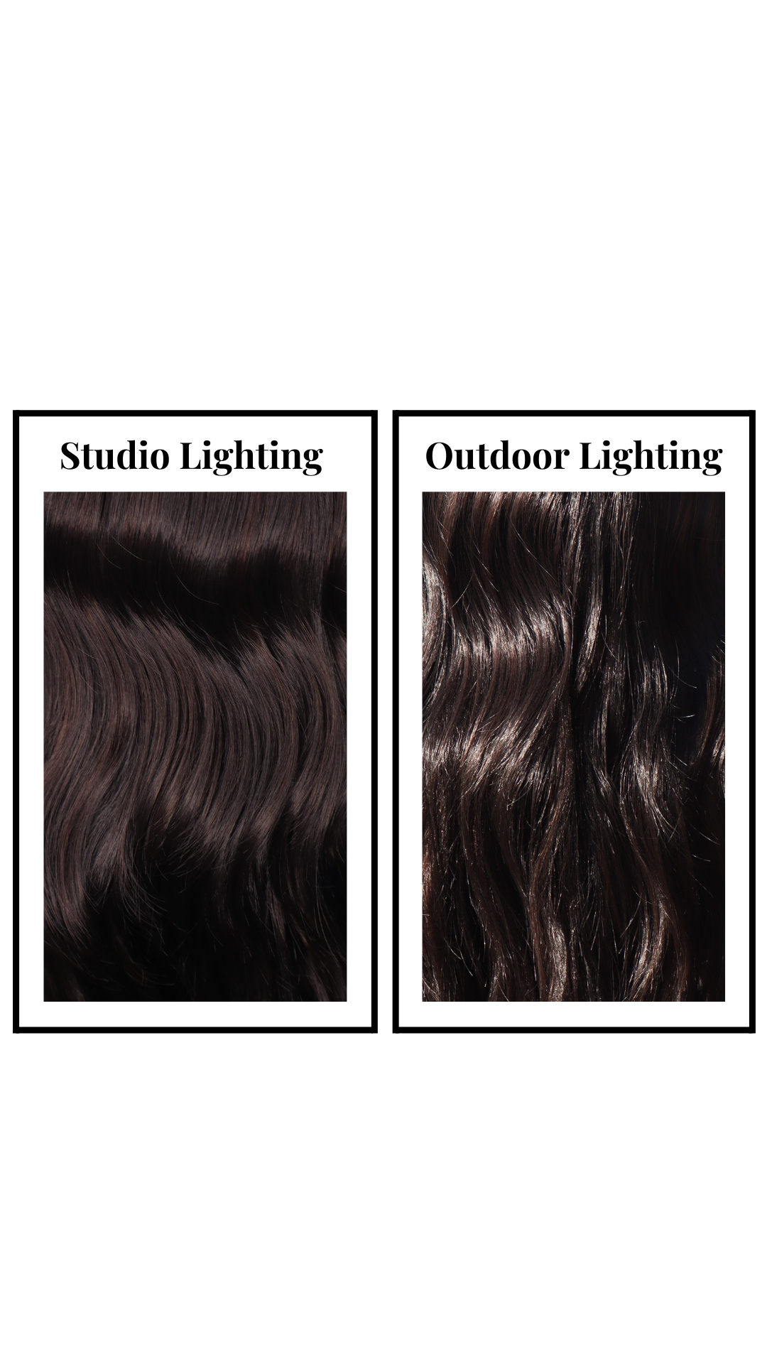 Callen (Midnight Mocha)