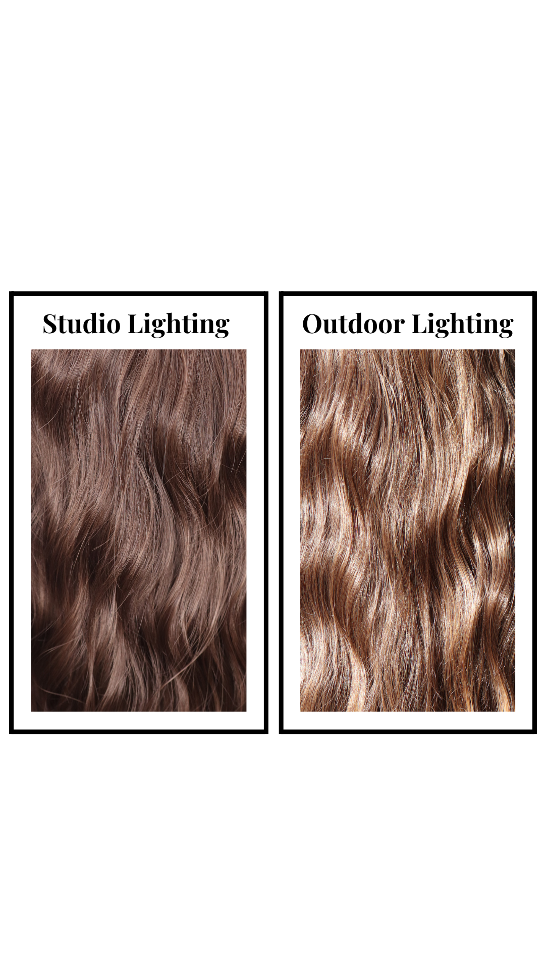 Cassidy with Lace Front Bangs (Brown Sugar) Petite