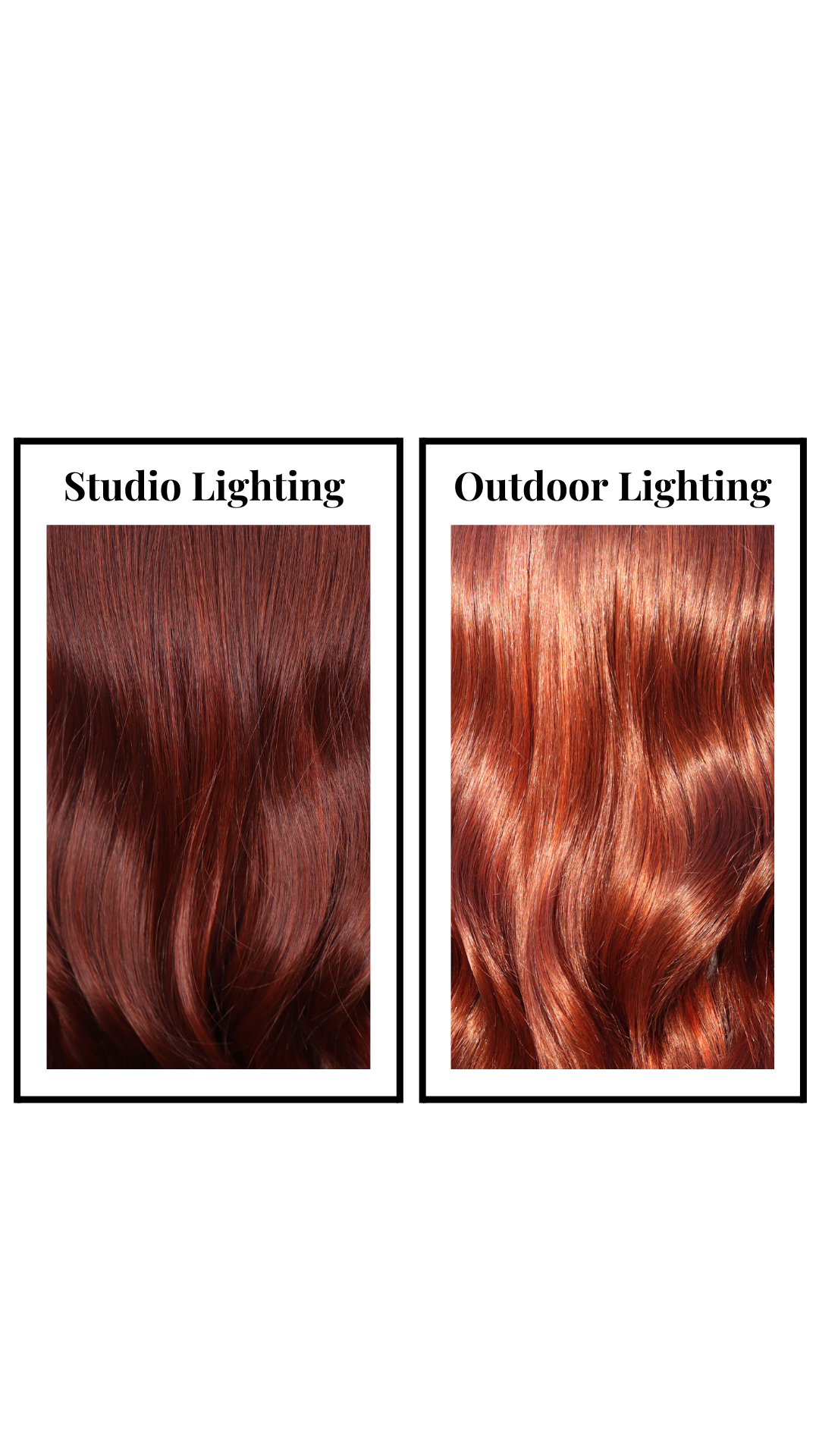 Charmaine (Cinnamon Spark)