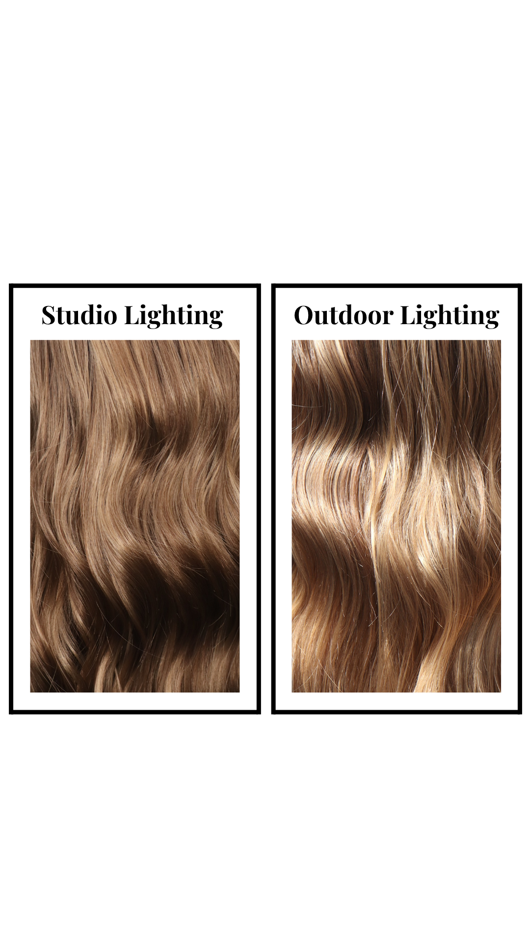 Cosette (French Toast) - FEATURED CROWN