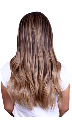 Dakota (Balayage) Petite