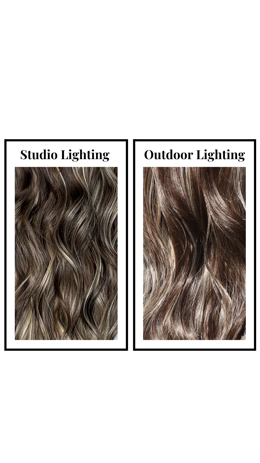 Evans (T-Part) Large