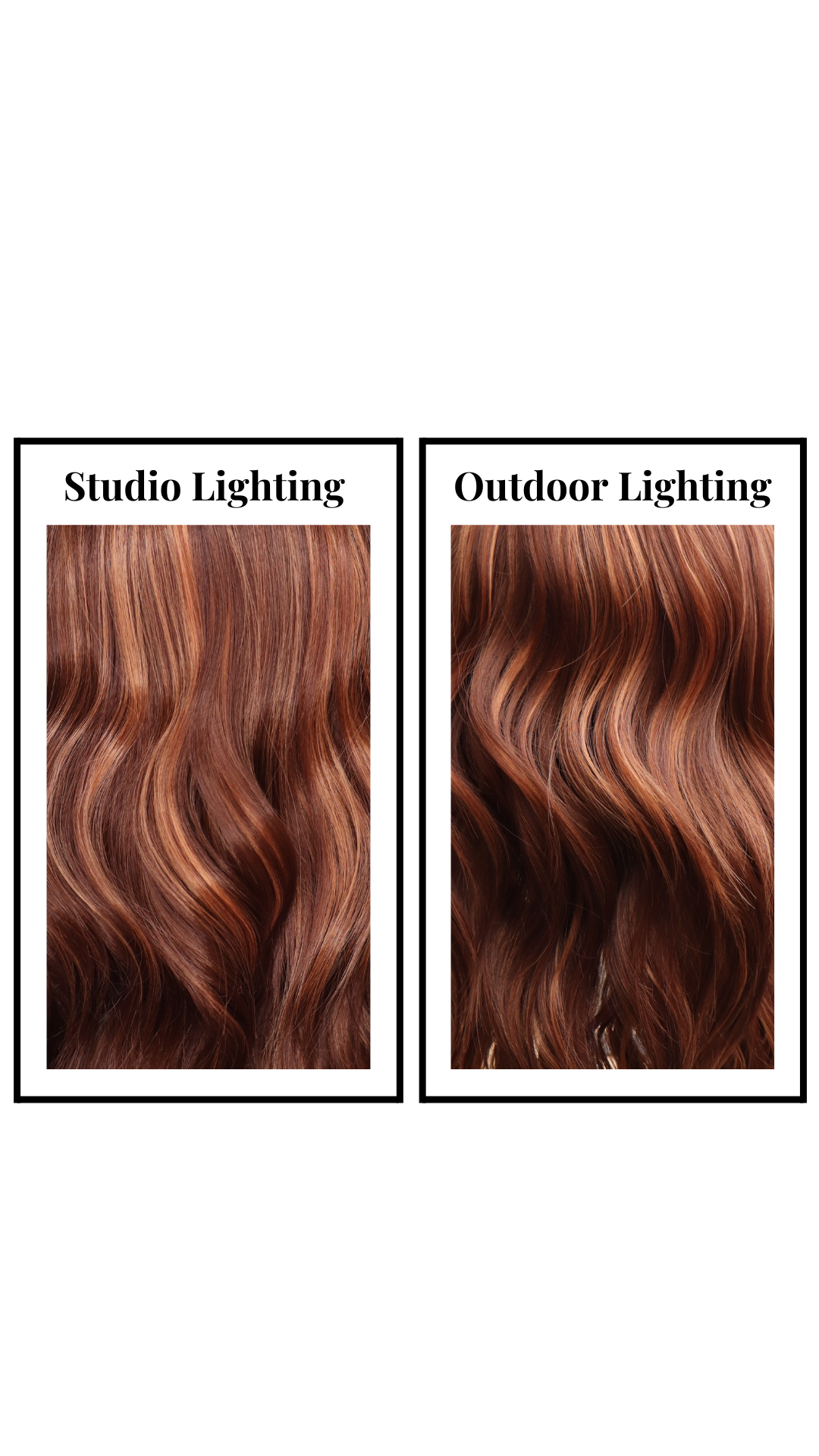 *Faris (Auburn Spice)