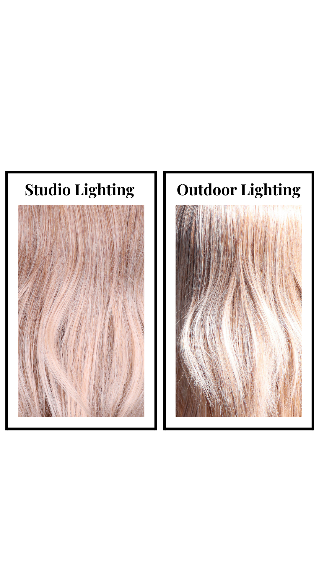 Farryn (Apricot) Petite