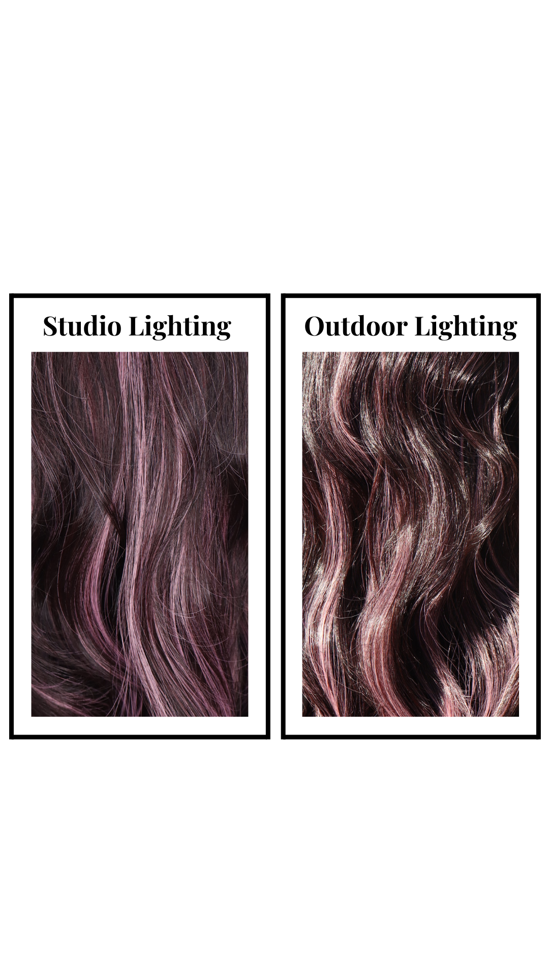 Jetta (Crimson Petal)