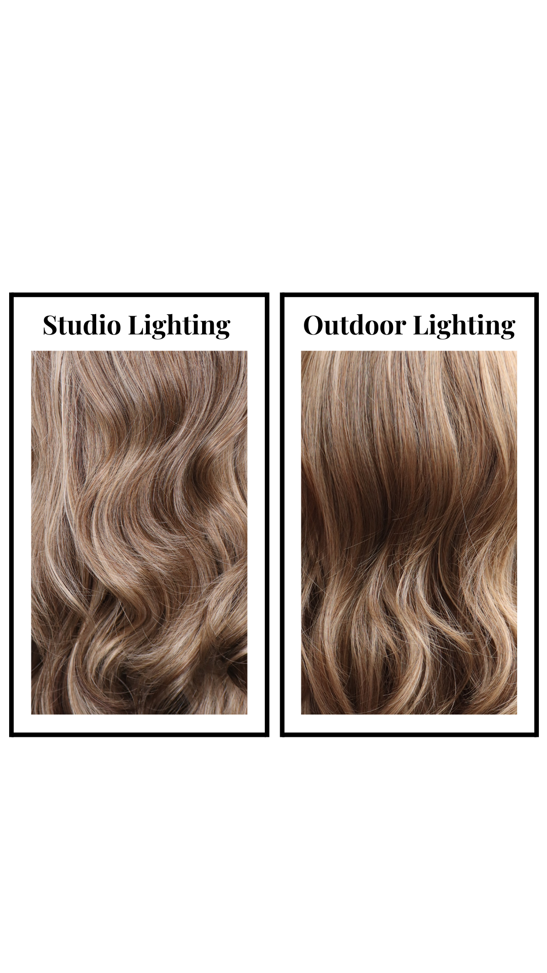 *Jetta (Natural CBB)