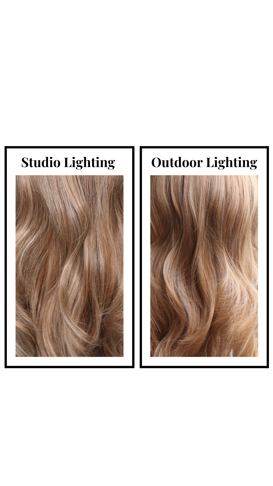 *Jetta (Rosy Blonde Roast)