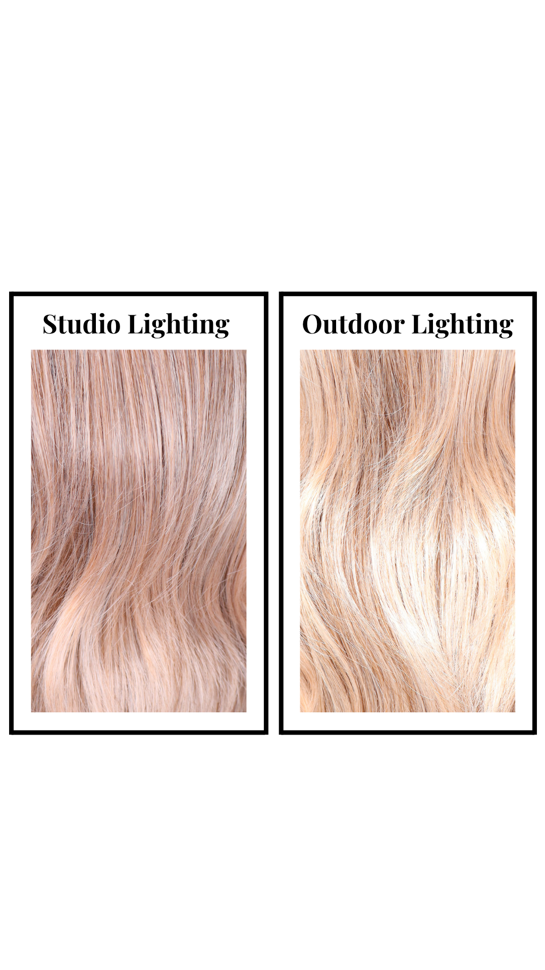 Mariposa (Apricot) Large