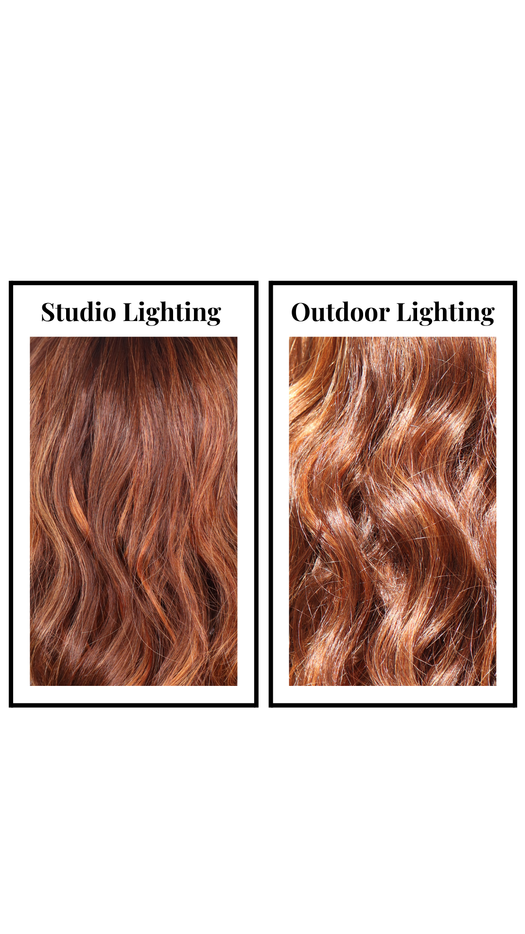 Marisol (Ginger Blend)