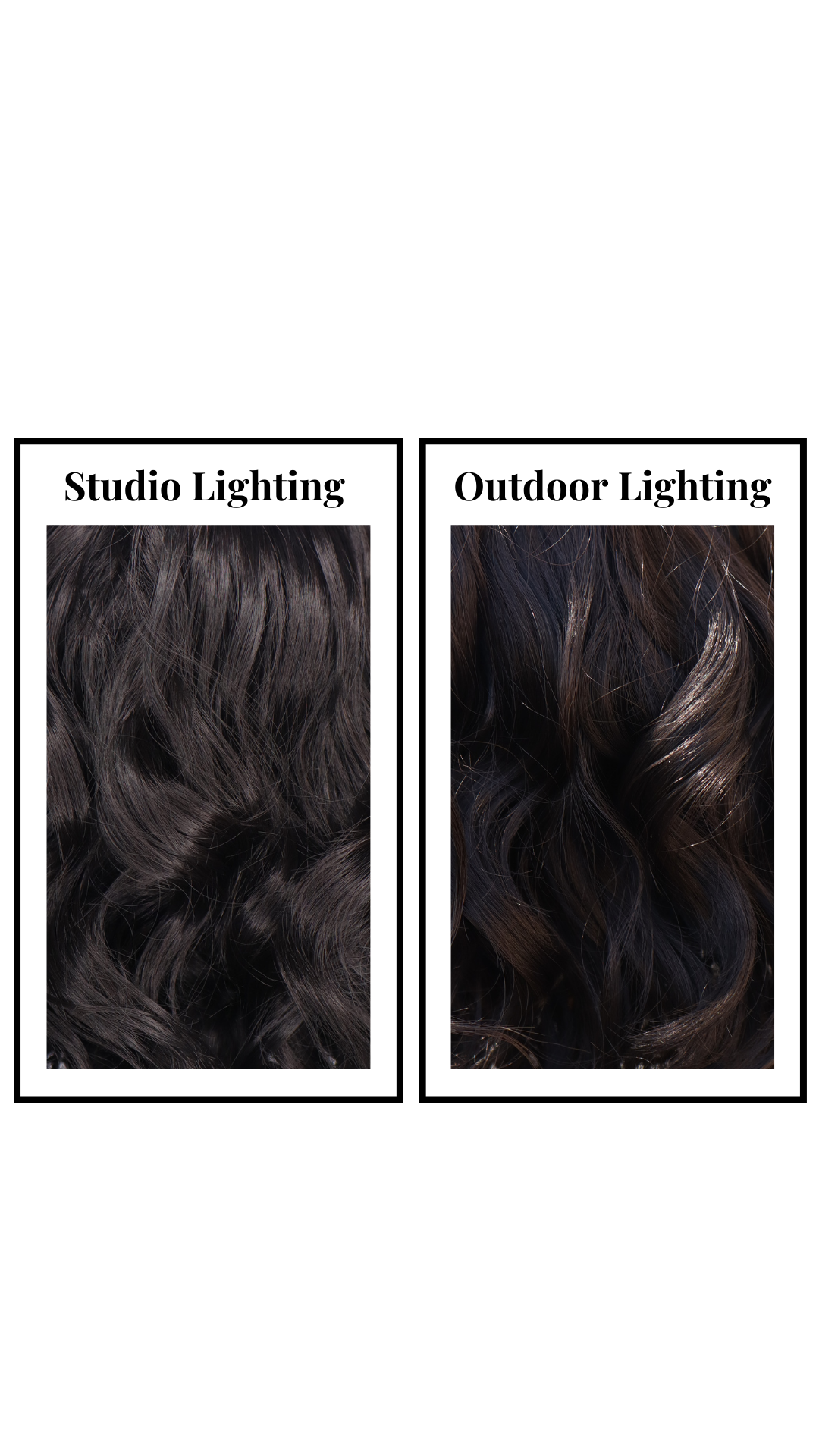 Shania (Black) Petite