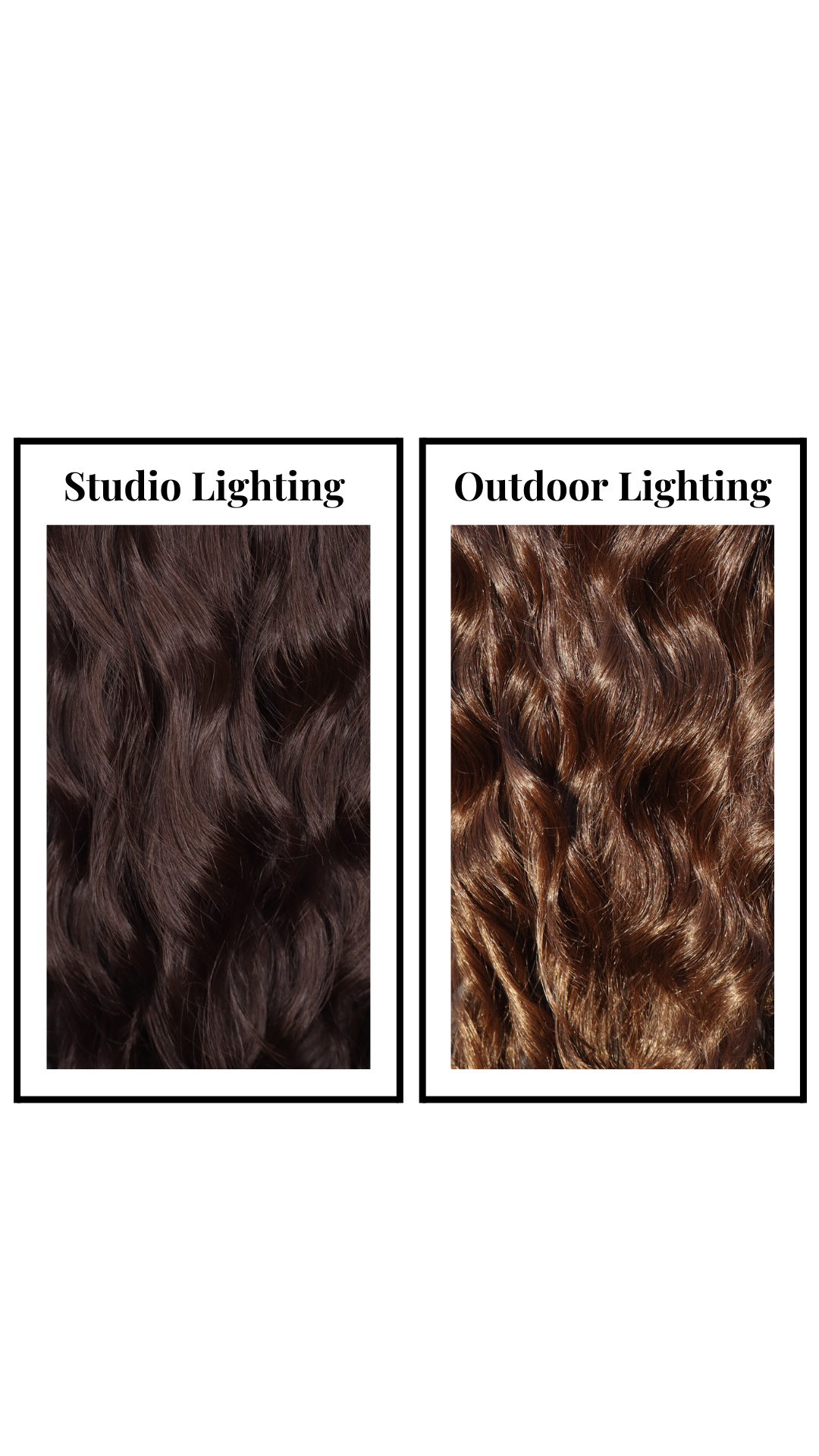 Arden (Brunette) Petite