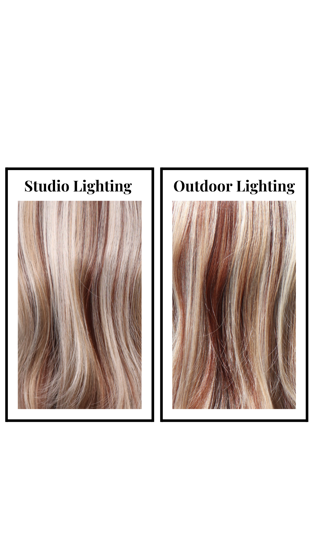 Ryder (Blonde Cinnamon Swirl) Large - FEATURED CROWN