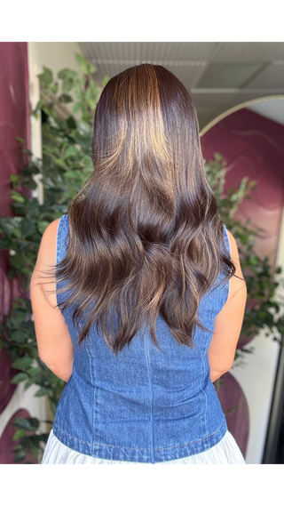 *Shara (Maple Mocha) - CrownContour