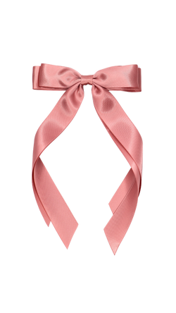 Small Silk Bow