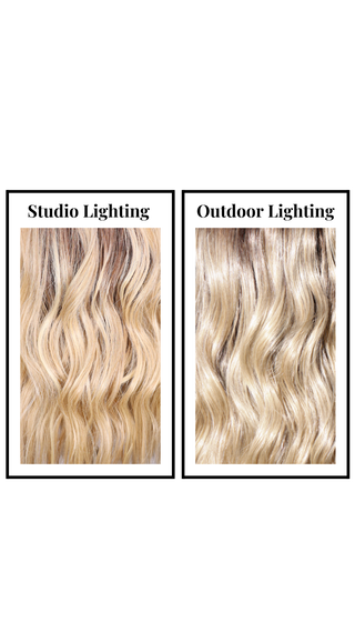 Sommer Monofilament Standard *Single Ladies- Final Sale