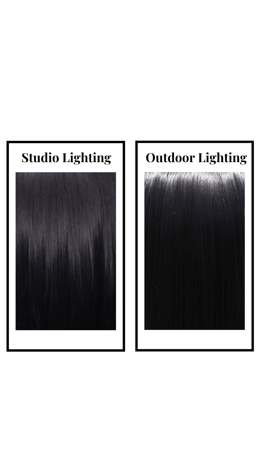 Steph (Black) Petite