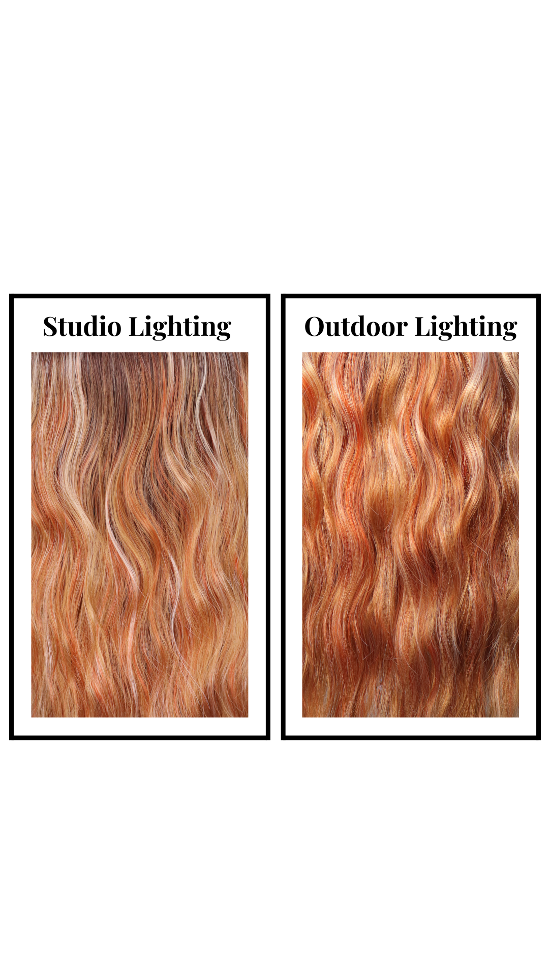 Summer Zoey (Carrot Cake)