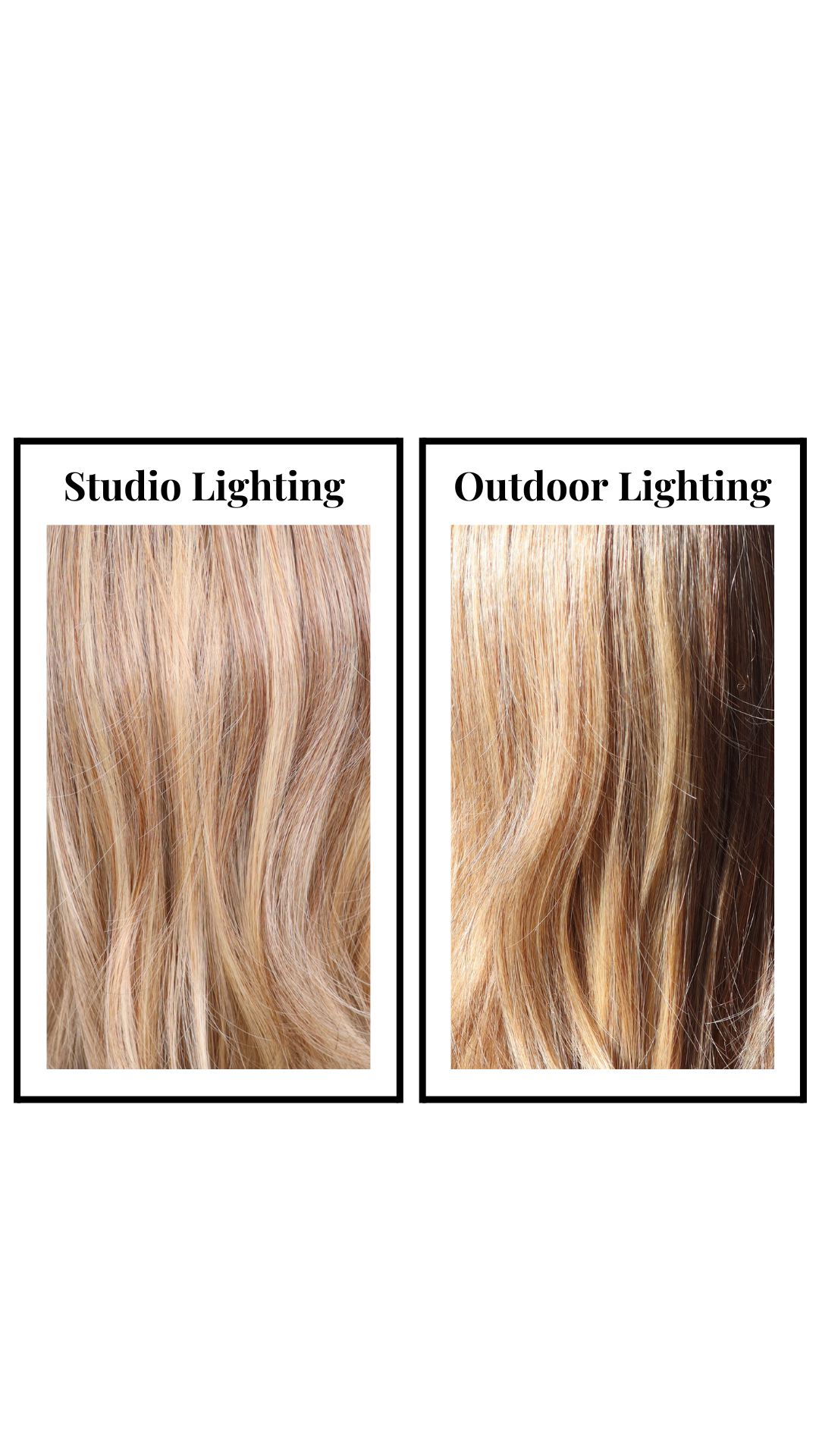 Taylor (Honeycomb Crush)