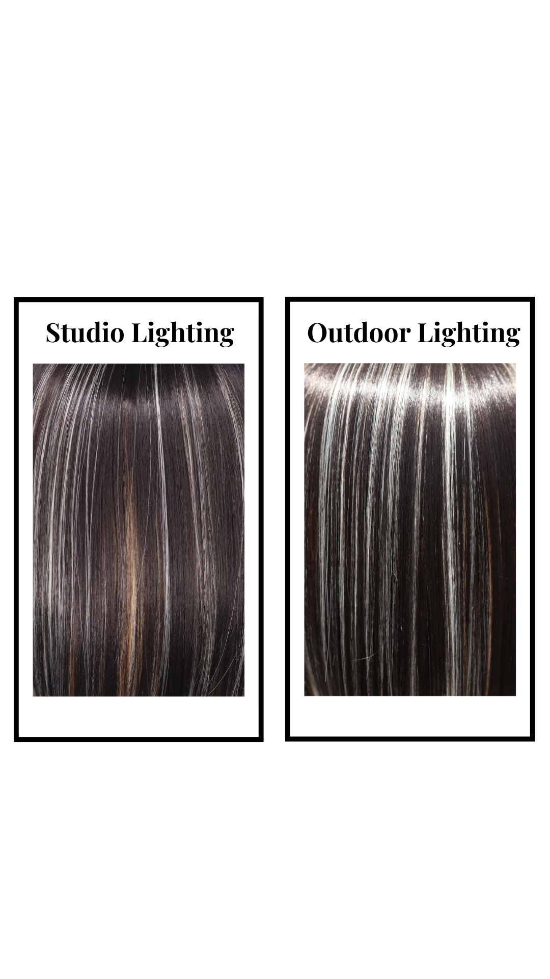 Vuitton (Lone Wolf) Petite