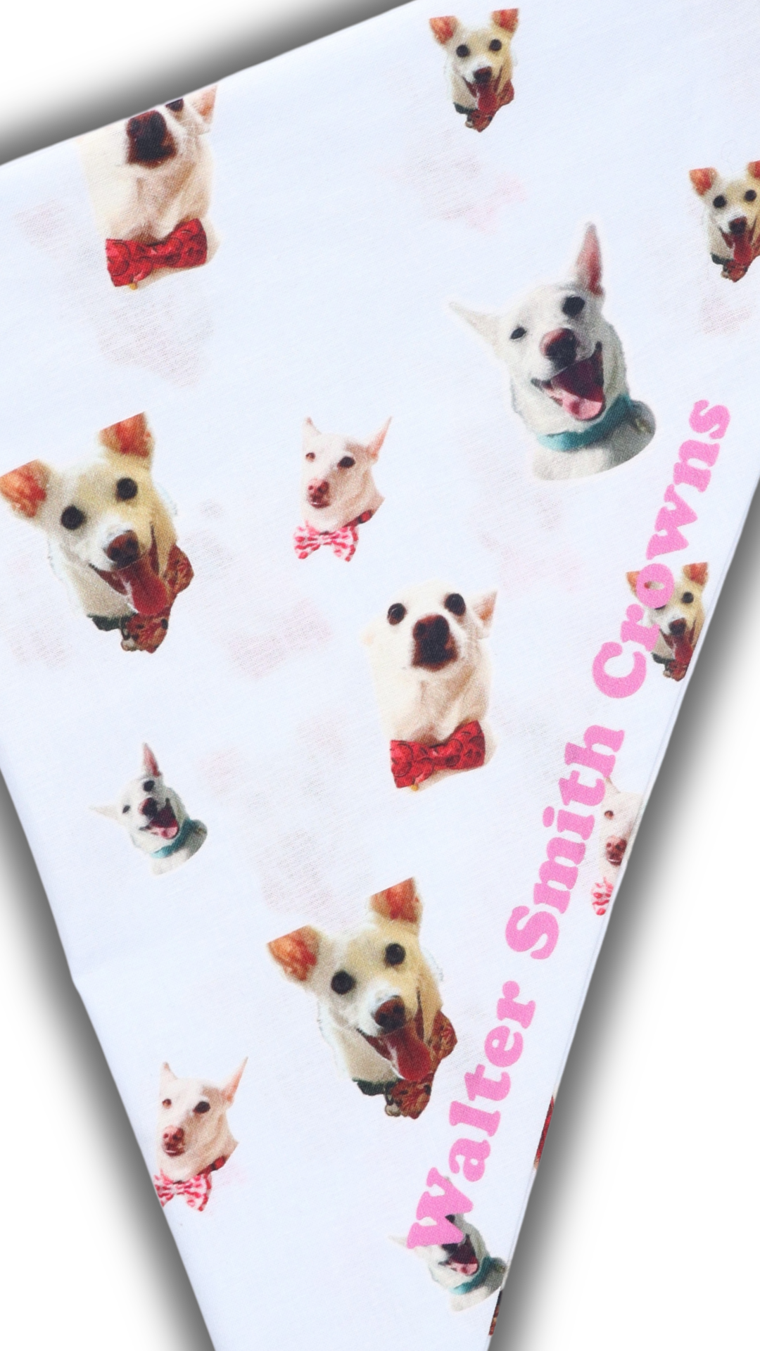 Walter Smith Crowns Pet Bandana