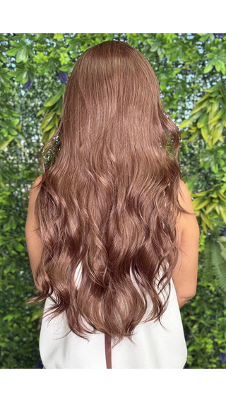 *Zeppelin (Bridle Brunette)