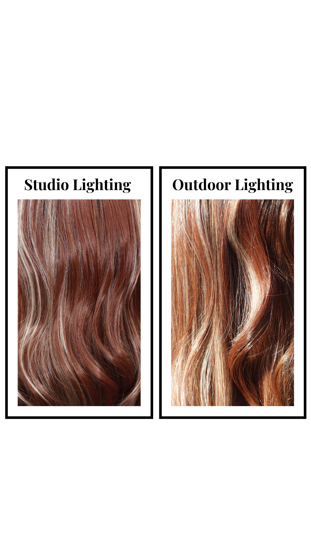 Zeppelin (Honey Mocha)