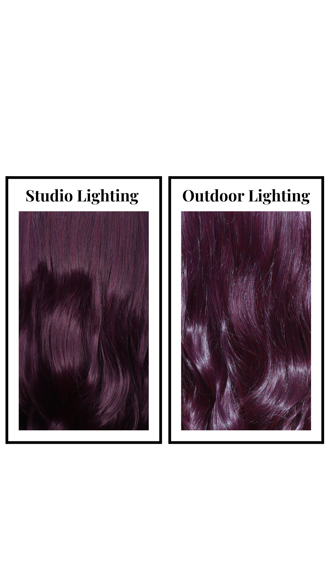 Zeppelin (Plum) Large