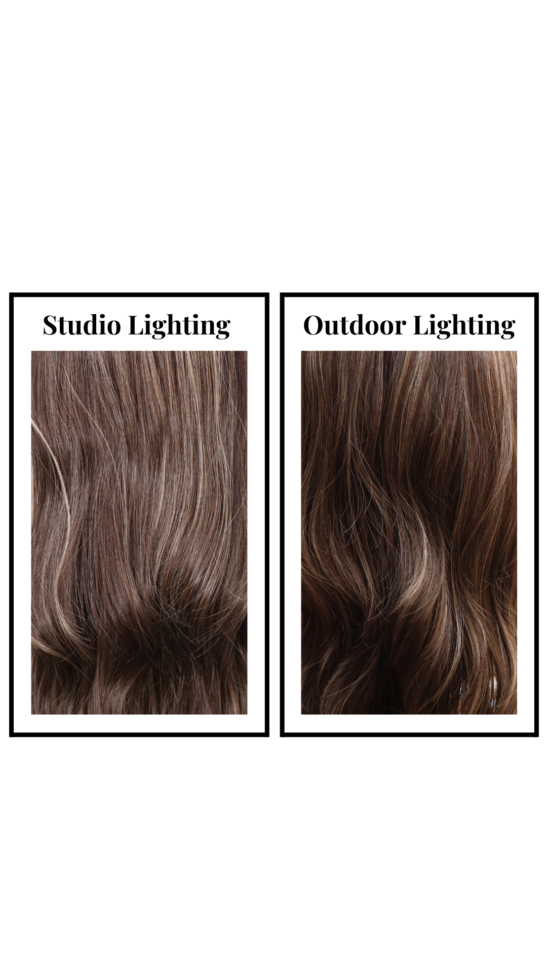 *Zeppelin (Brunette Brulee)