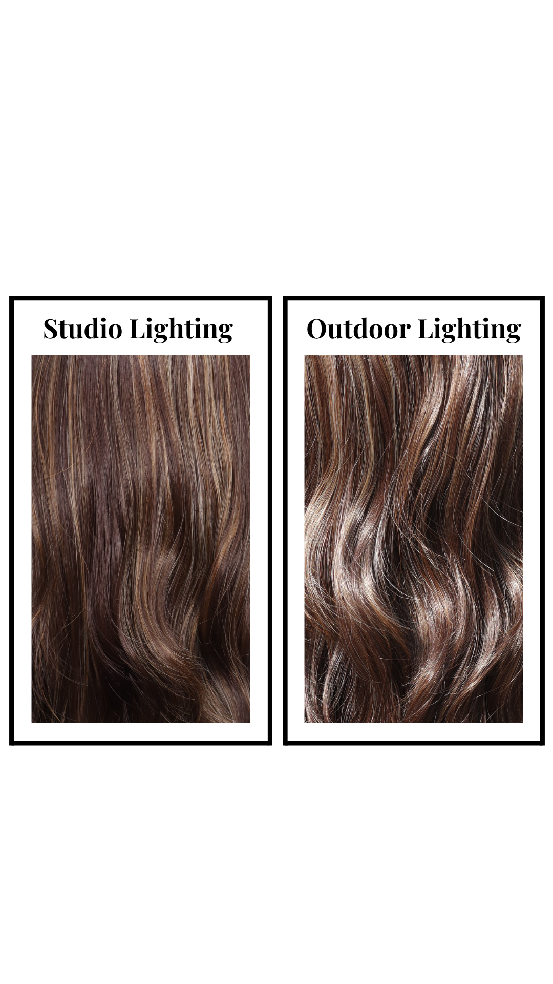 Zeppelin (Toffee Truffle) Large