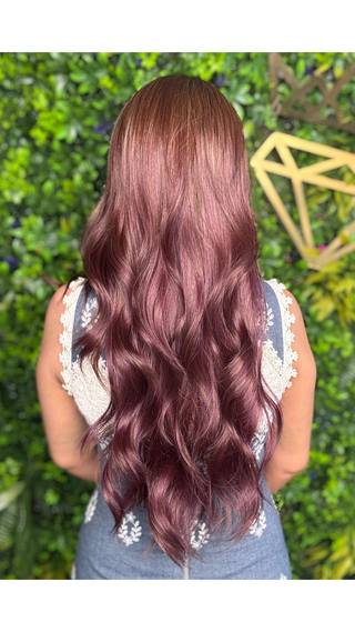 Zeppelin (Wineberry Fade) - Swiss Lace - FINAL SALE Display *Single Ladies - FINAL SALE