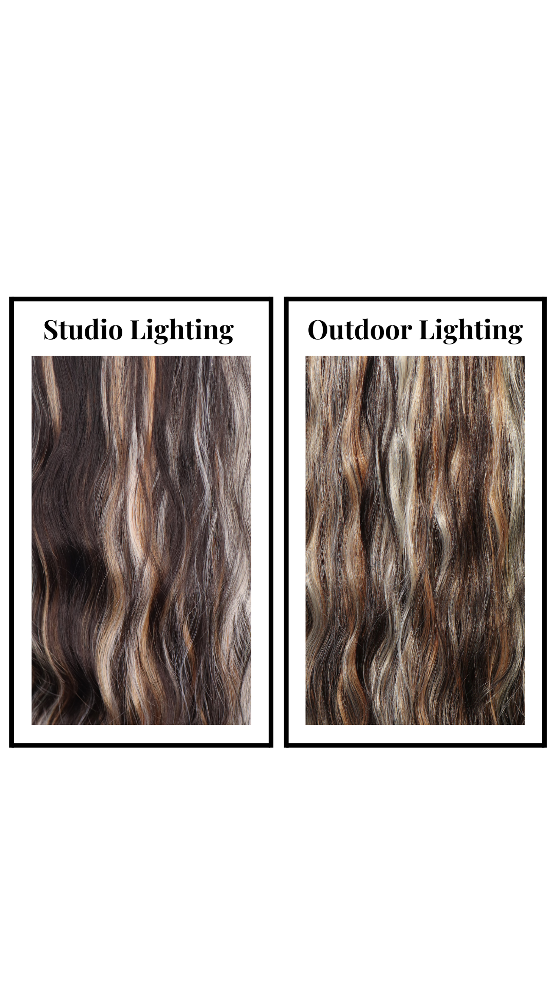 Zoey (Lone Wolf Coloring) Large